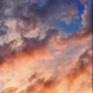 Meet your Posher, Aspyn